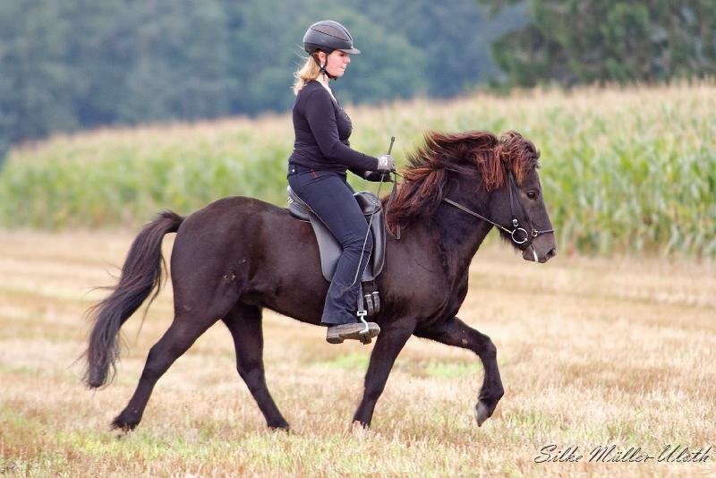 Undrandi a.jpg - Undrandi